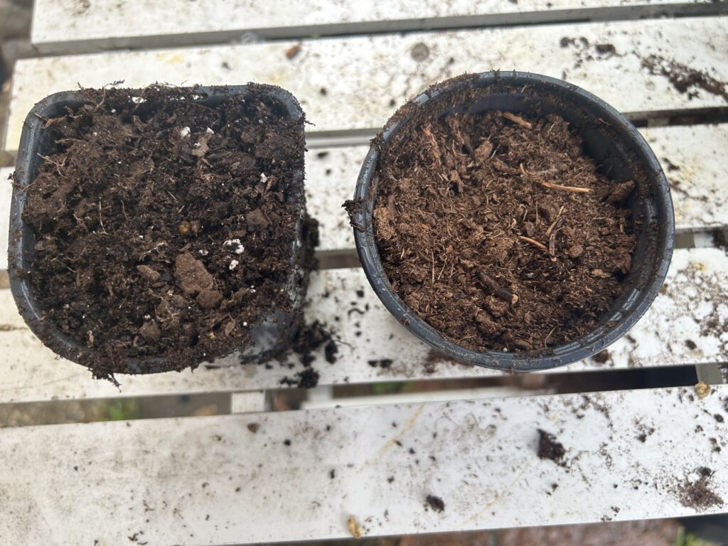 Potting Soil versus Peat Moss